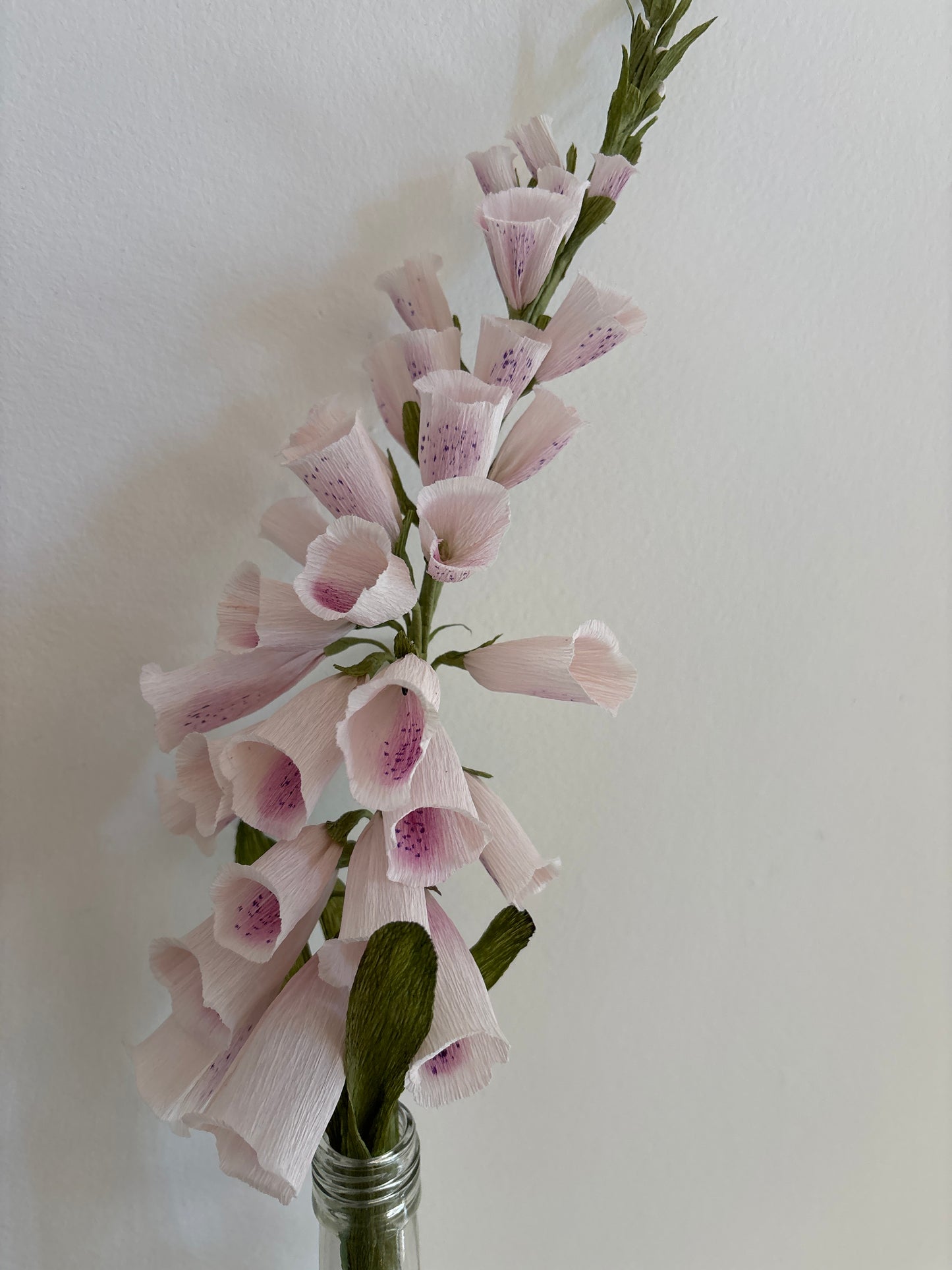 Folly & Bird - Foxglove, Paper