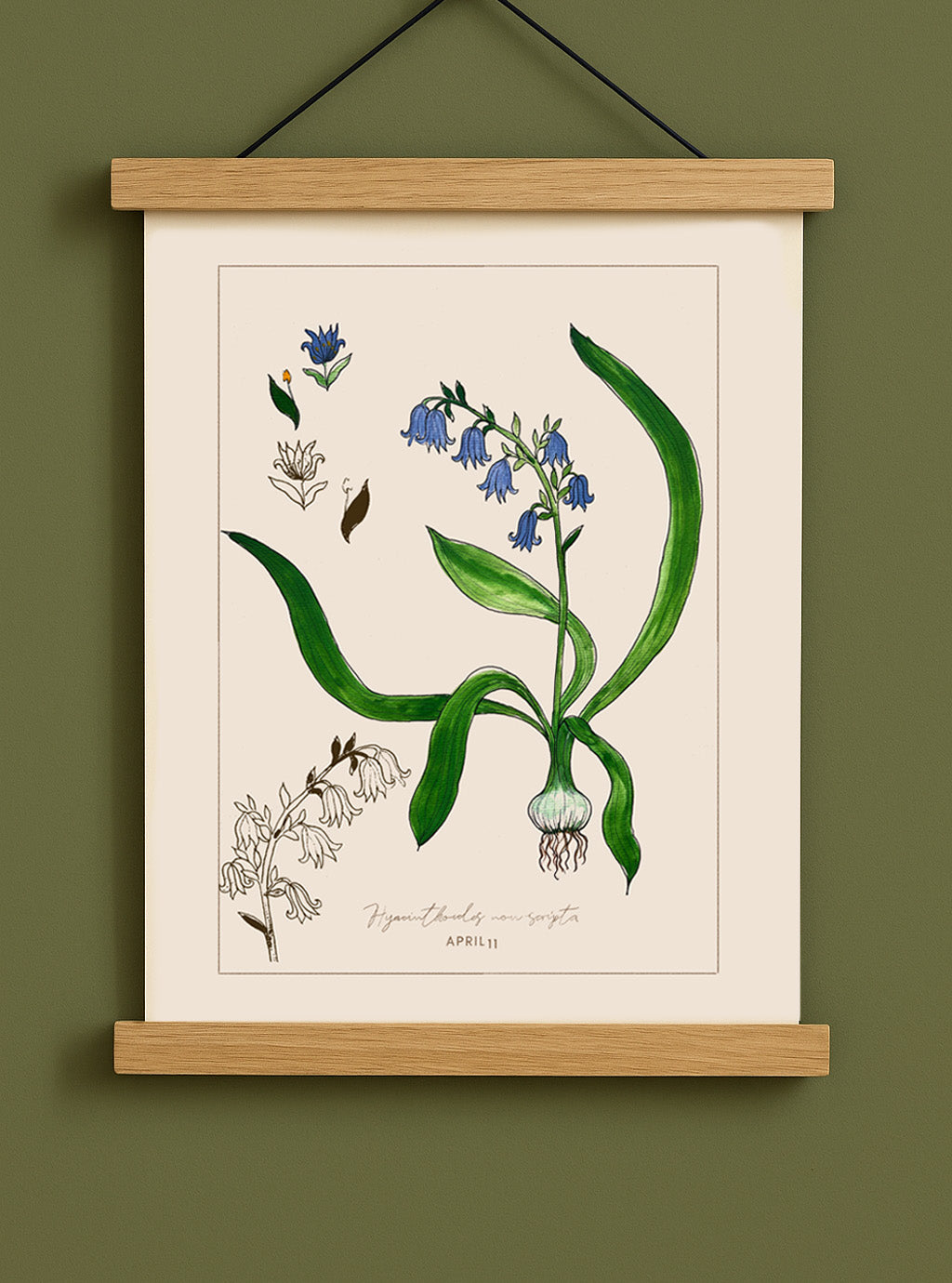April 11 - Botanical Bluebell Print