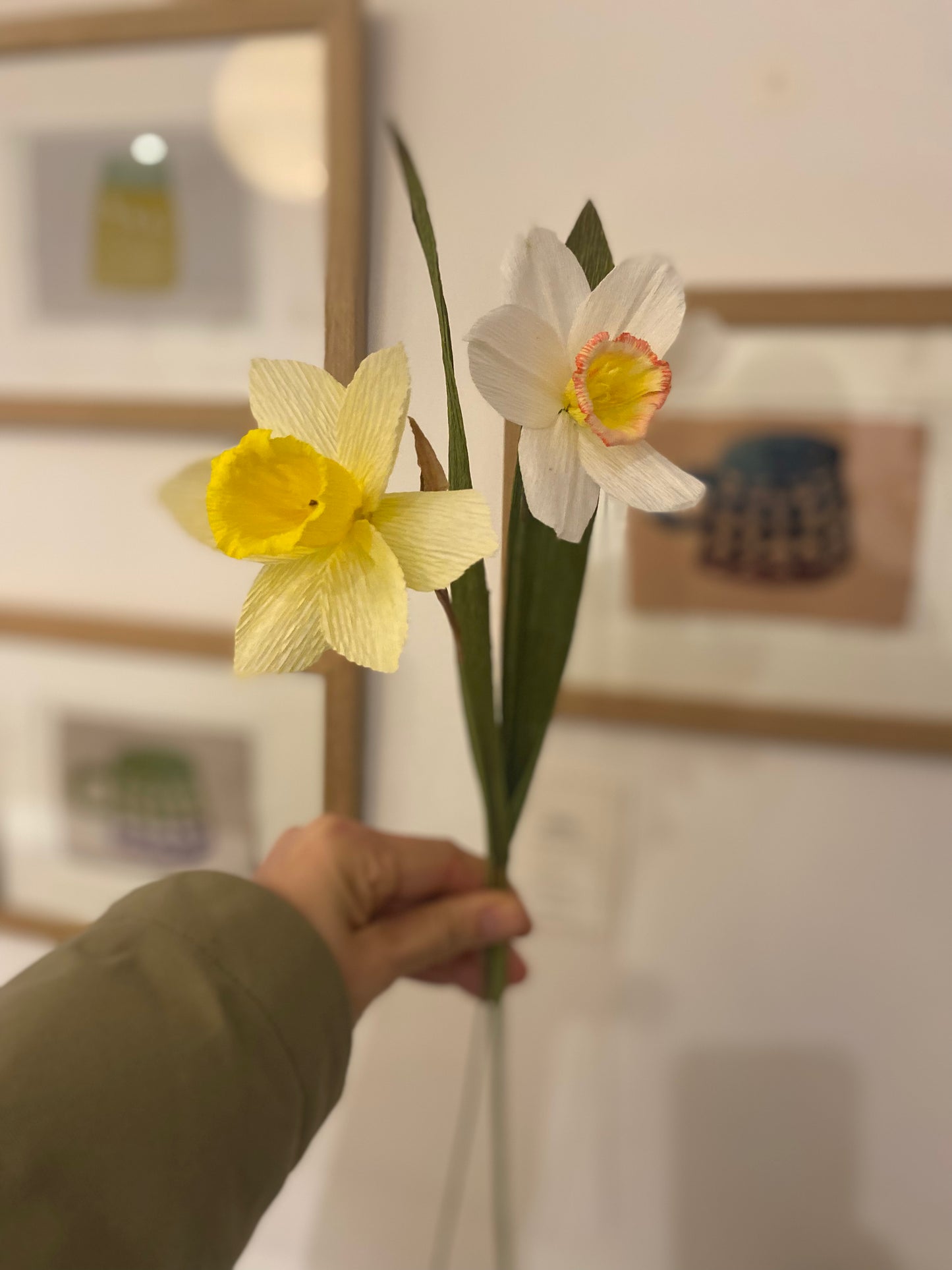 Folly & Bird - Narcissus (Daffodil), paper