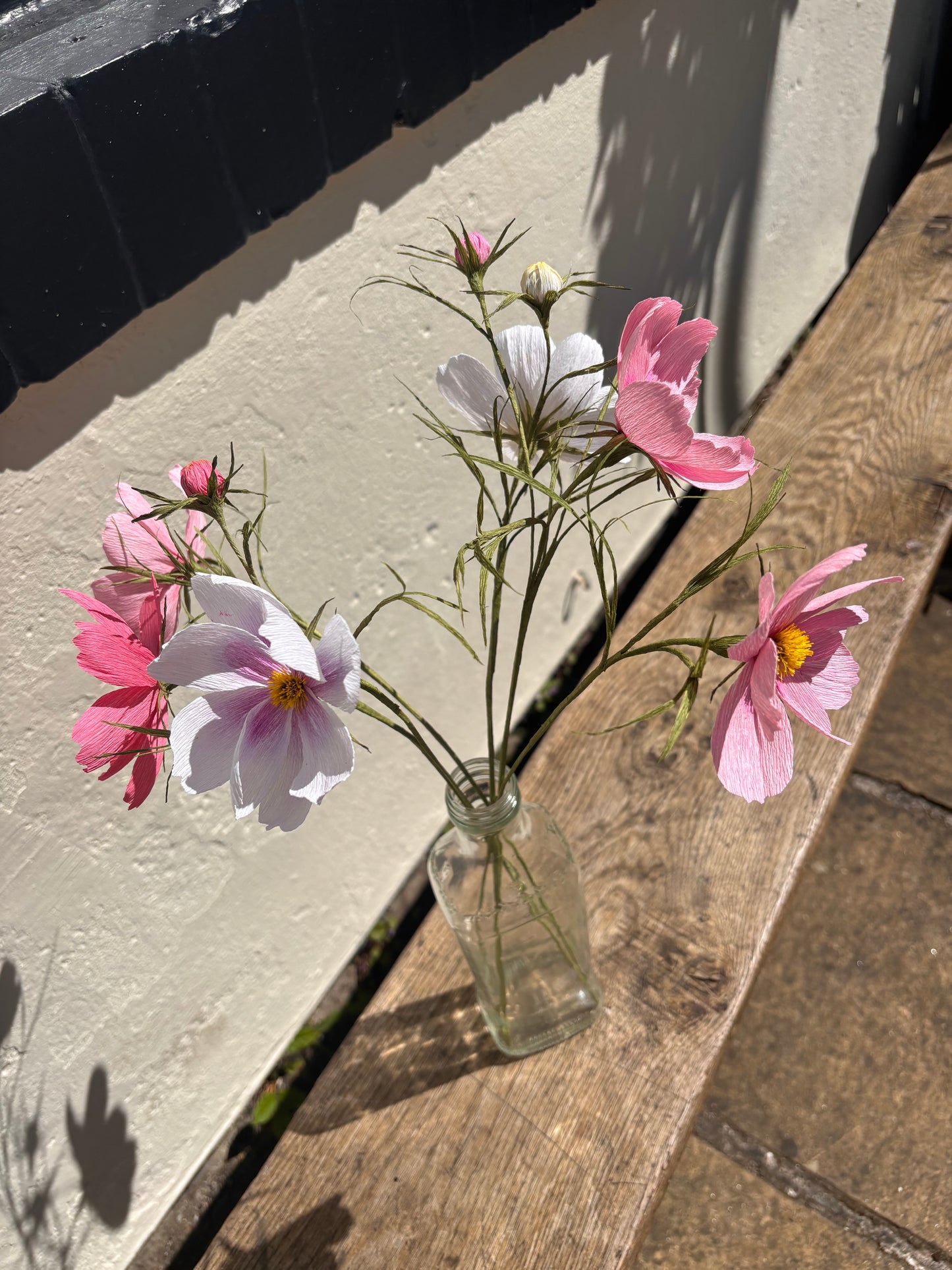 Folly & Bird - Single Cosmos Flowers, Paper