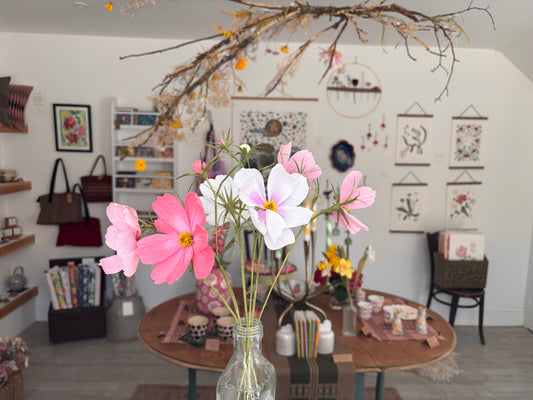Folly & Bird - Single Cosmos Flowers, Paper