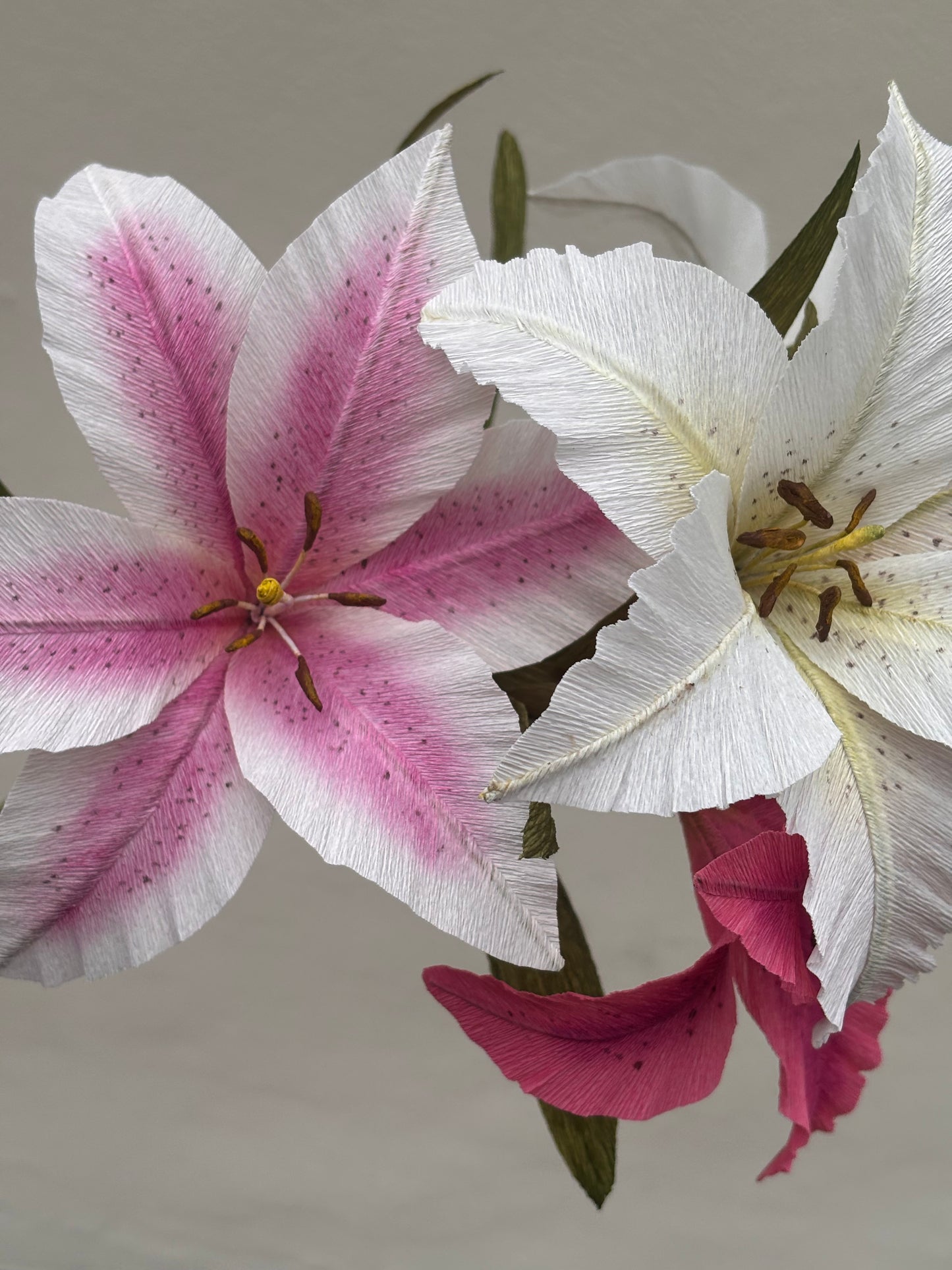 Folly & Bird - Lily, Paper