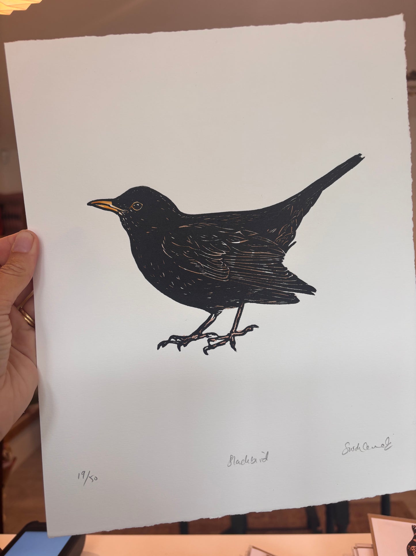Sarah Cemmick - Original Lino Cut - Blackbird