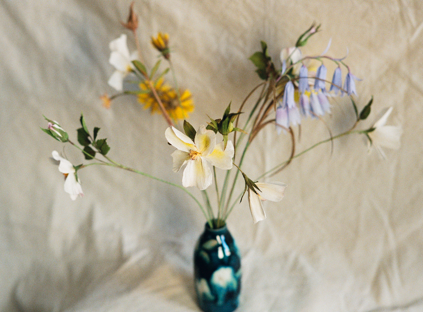 Folly & Bird - English Bluebell, Paper