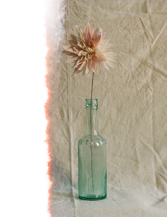 Paper Dahlia Workshop with Folly & Bird - November 16