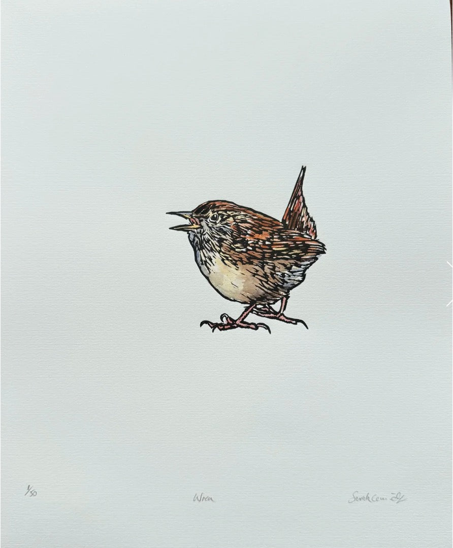 Sarah Cemmick - Original Lino Cut - Wren