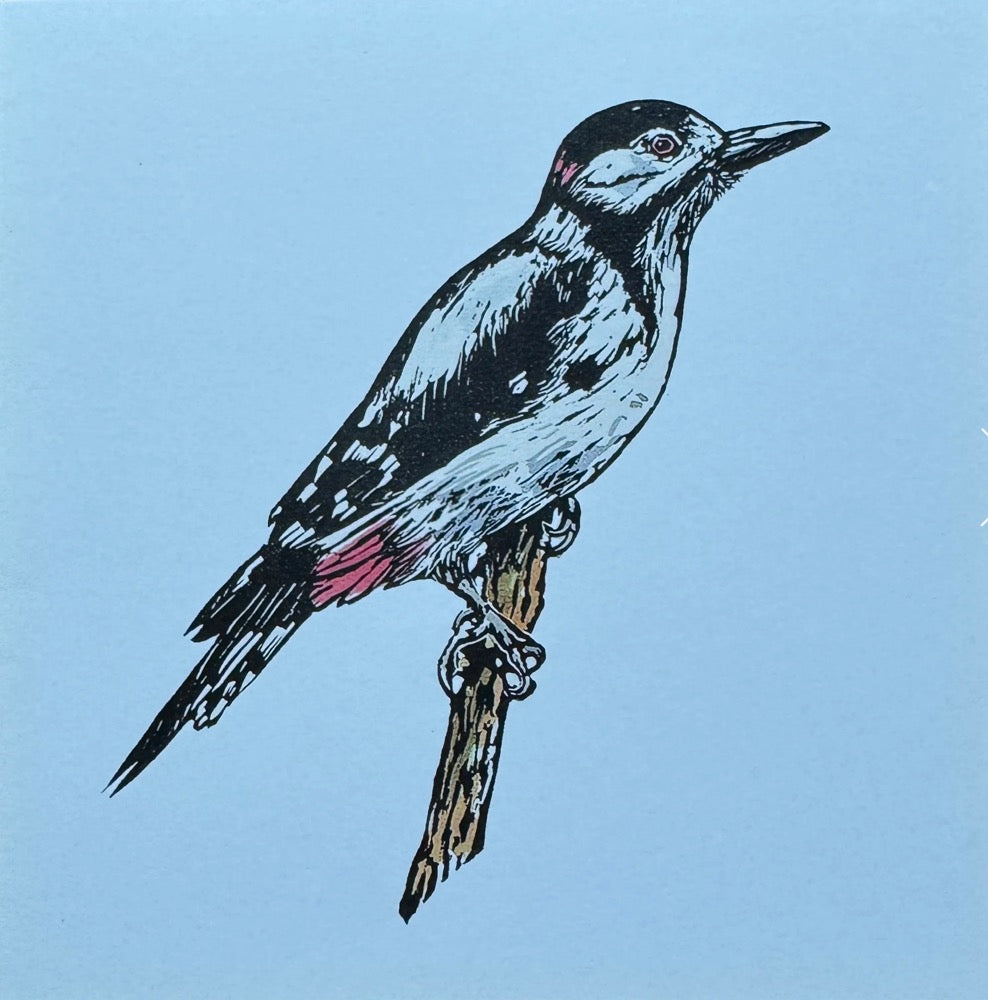 Sarah Cemmick - Lino Cut Art Card - Great Spotted Woodpecker