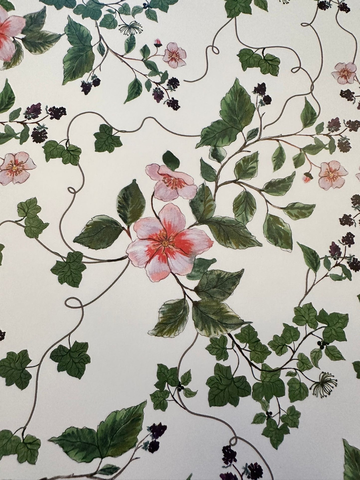 April 11 - Wrapping Paper Vines & Blackberries