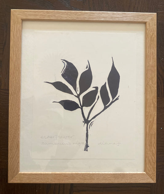 Diana Fitzpatrick - Original Artwork - Framed Lino print
