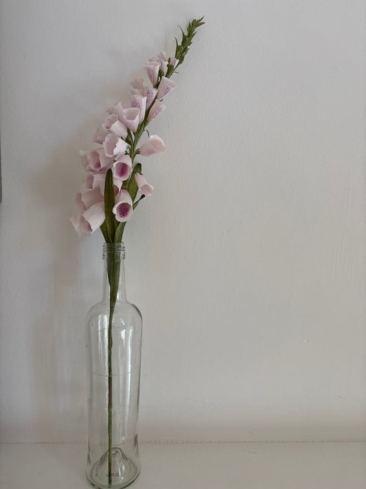 Folly & Bird - Foxglove, Paper