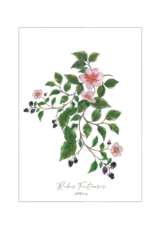 April 11 - Autumn Flower Prints