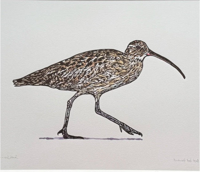 Sarah Cemmick - Lino Cut Art Card - Curlew