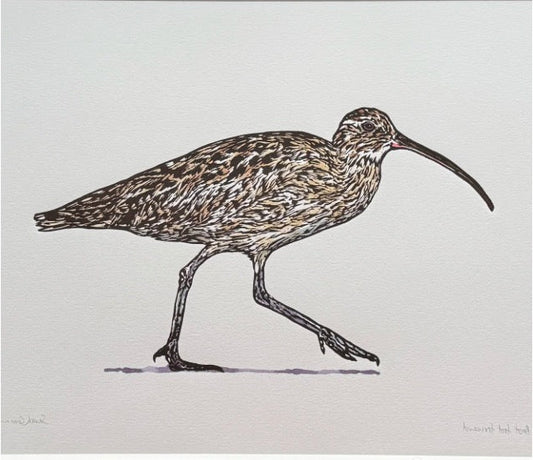 Sarah Cemmick - Lino Cut Art Card - Curlew