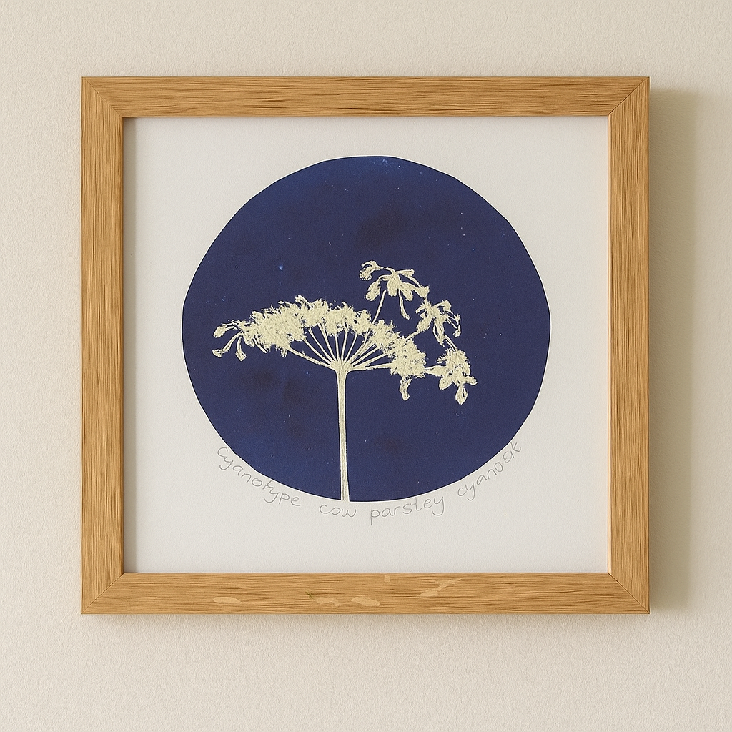 Diana Fitzpatrick - Original Artwork - Framed Monoprint