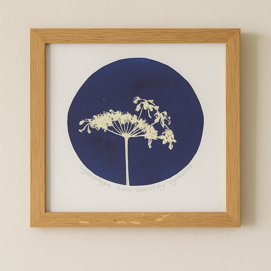 Diana Fitzpatrick - Original Artwork - Framed Monoprint