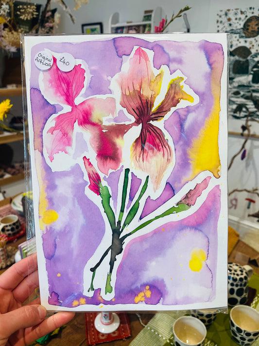 Floral Watercolour Painting | Original Ink & Watercolour Artwork on A4 Textured Paper (Pink Iris )