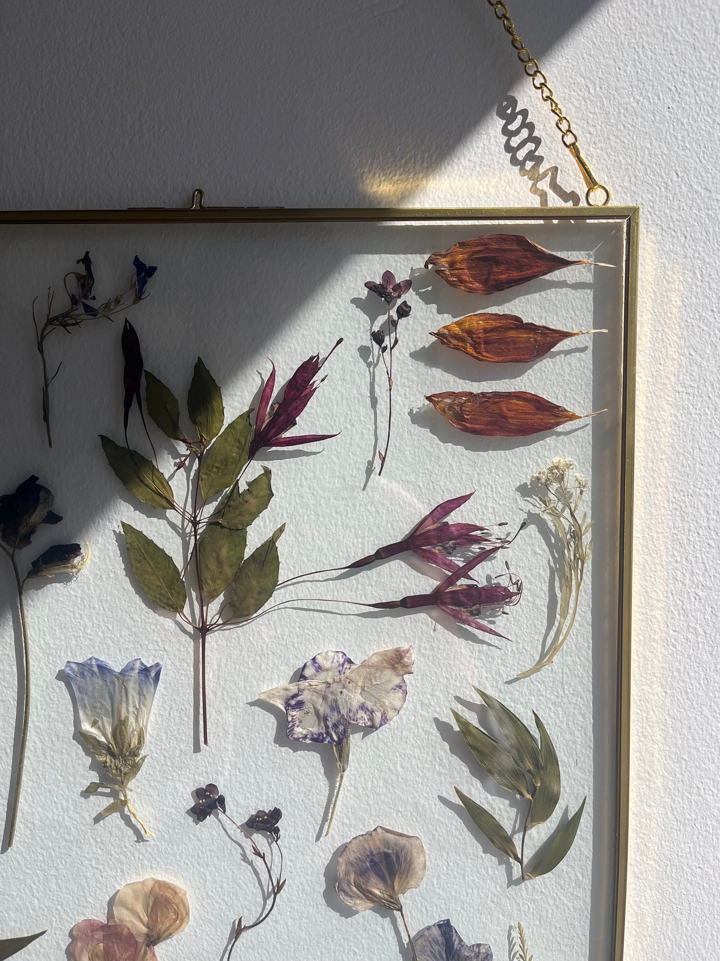 Thistle & Moonlace - Botanical Pressed flower Frame