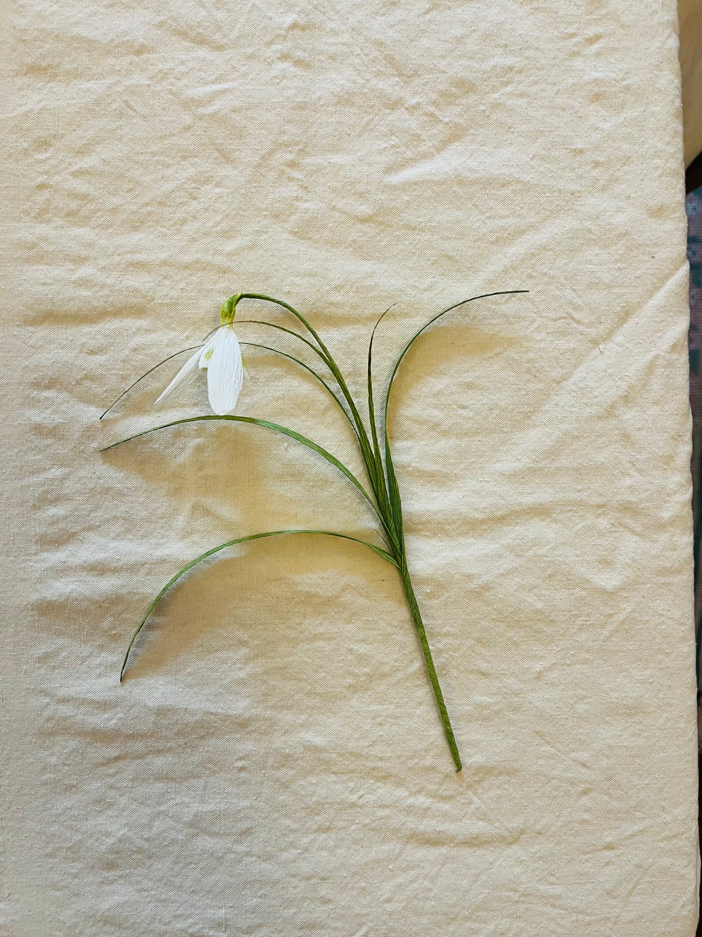 Folly & Bird - Snowdrops, Paper