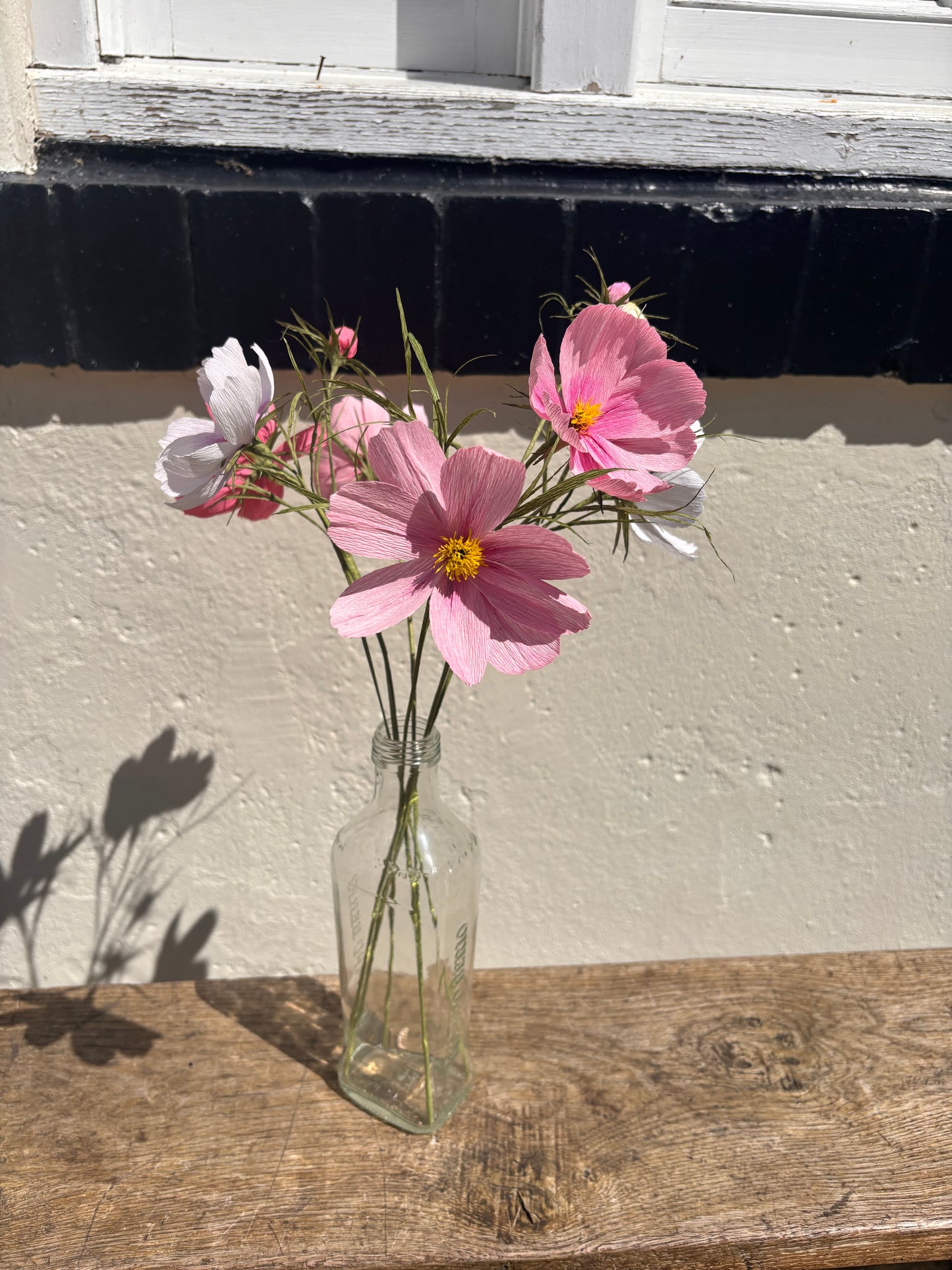 Folly & Bird - Single Cosmos Flowers, Paper