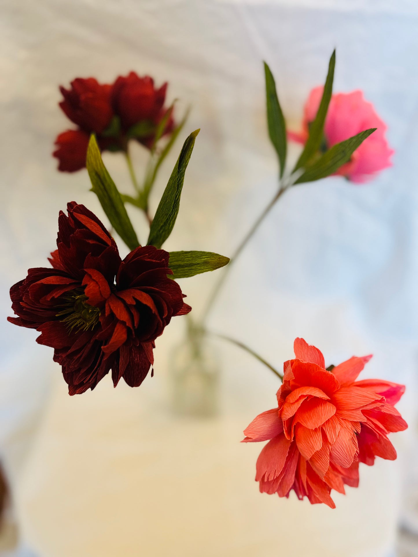 Folly & Bird - Peony, Paper