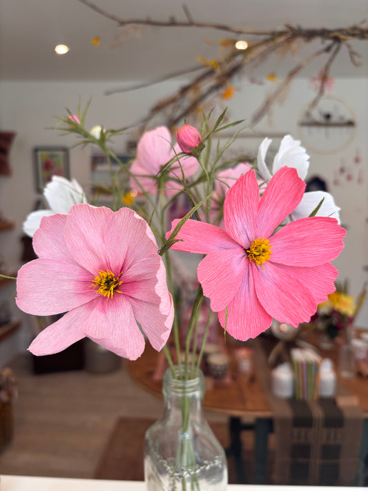 Folly & Bird - Single Cosmos Flowers, Paper