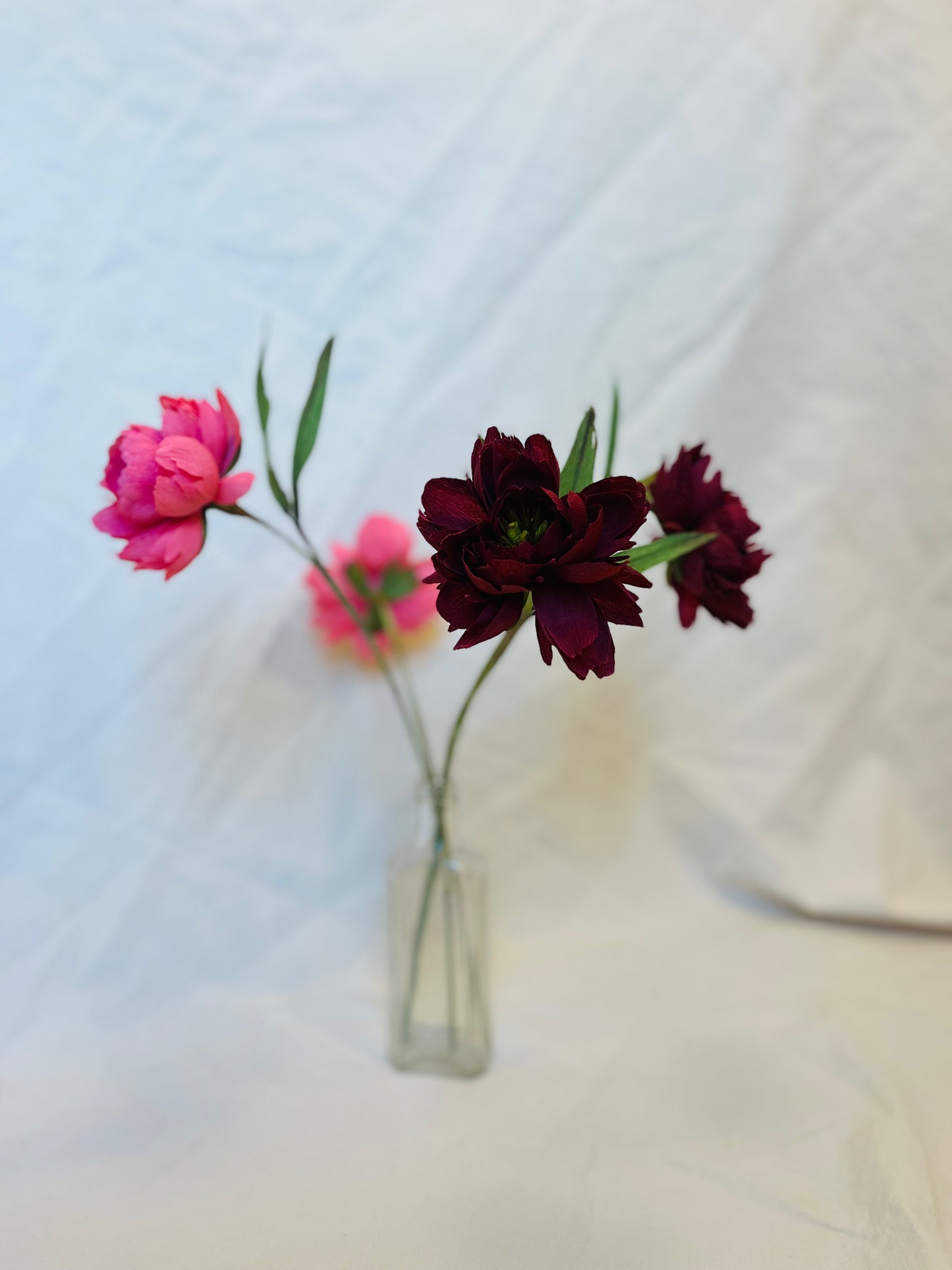 Folly & Bird - Peony, Paper