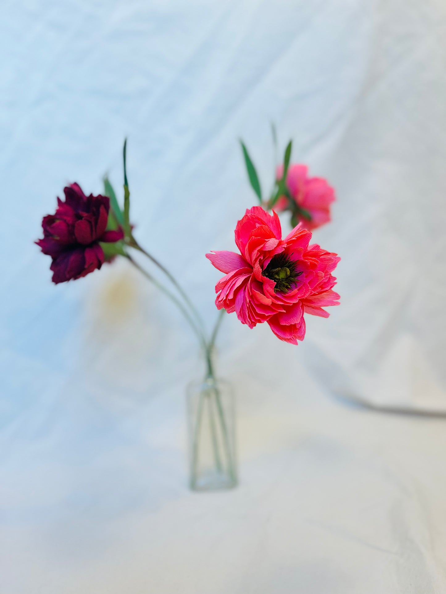 Folly & Bird - Peony, Paper