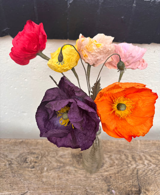 Folly & Bird - Poppy, Paper