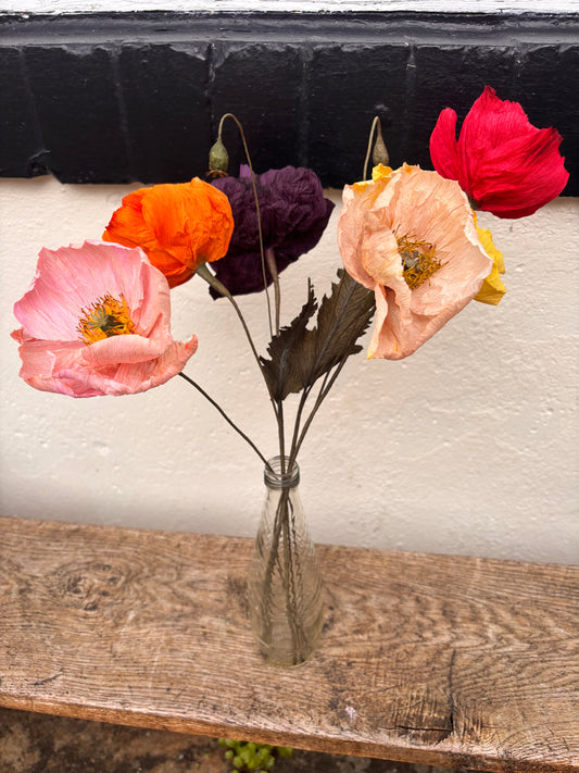 Folly & Bird - Poppy, Paper