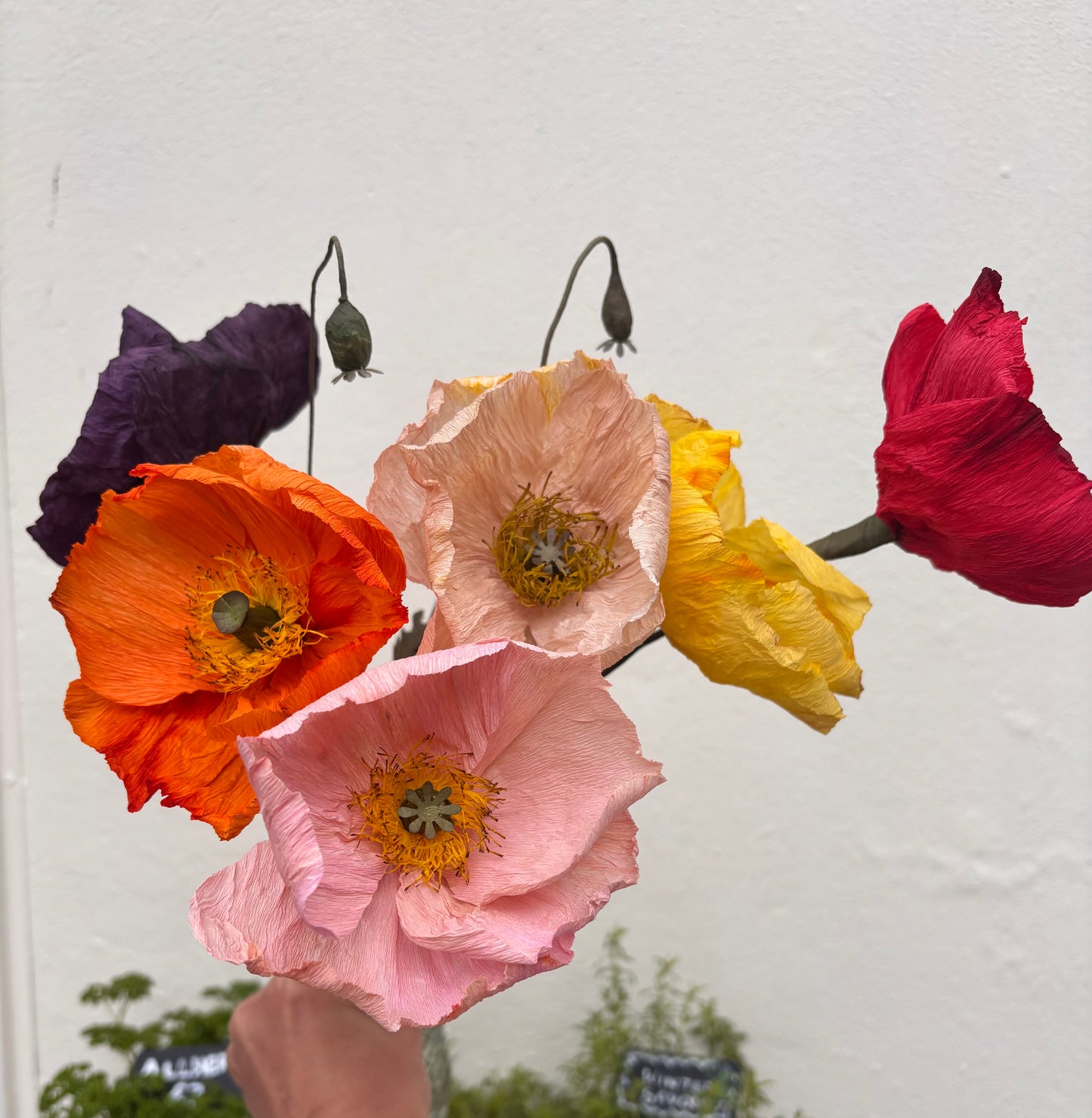 Folly & Bird - Poppy, Paper