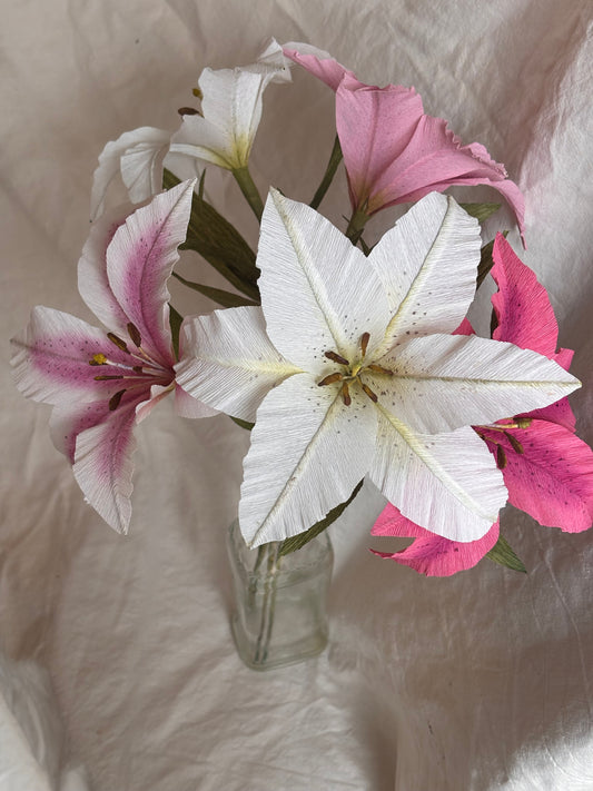 Folly & Bird - Lily, Paper