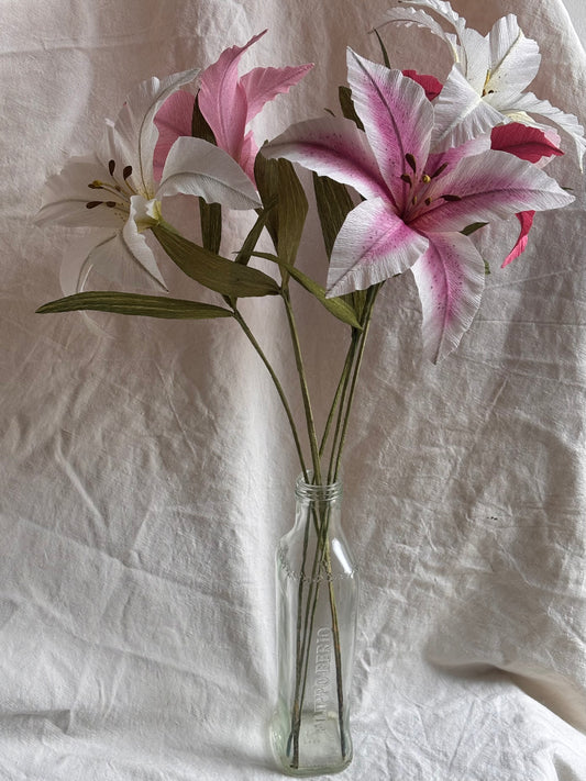 Folly & Bird - Lily, Paper