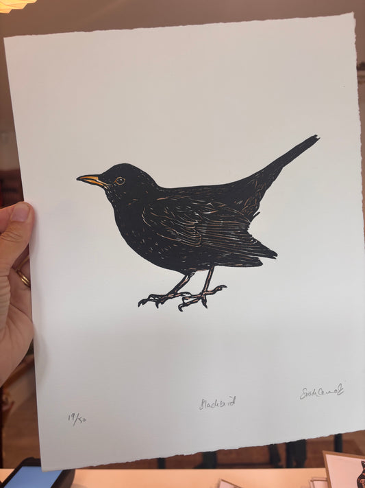 Sarah Cemmick - Original Lino Cut - Blackbird