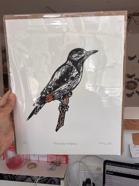 Sarah Cemmick - Original Lino Cut - Great Spotted Woodpecker