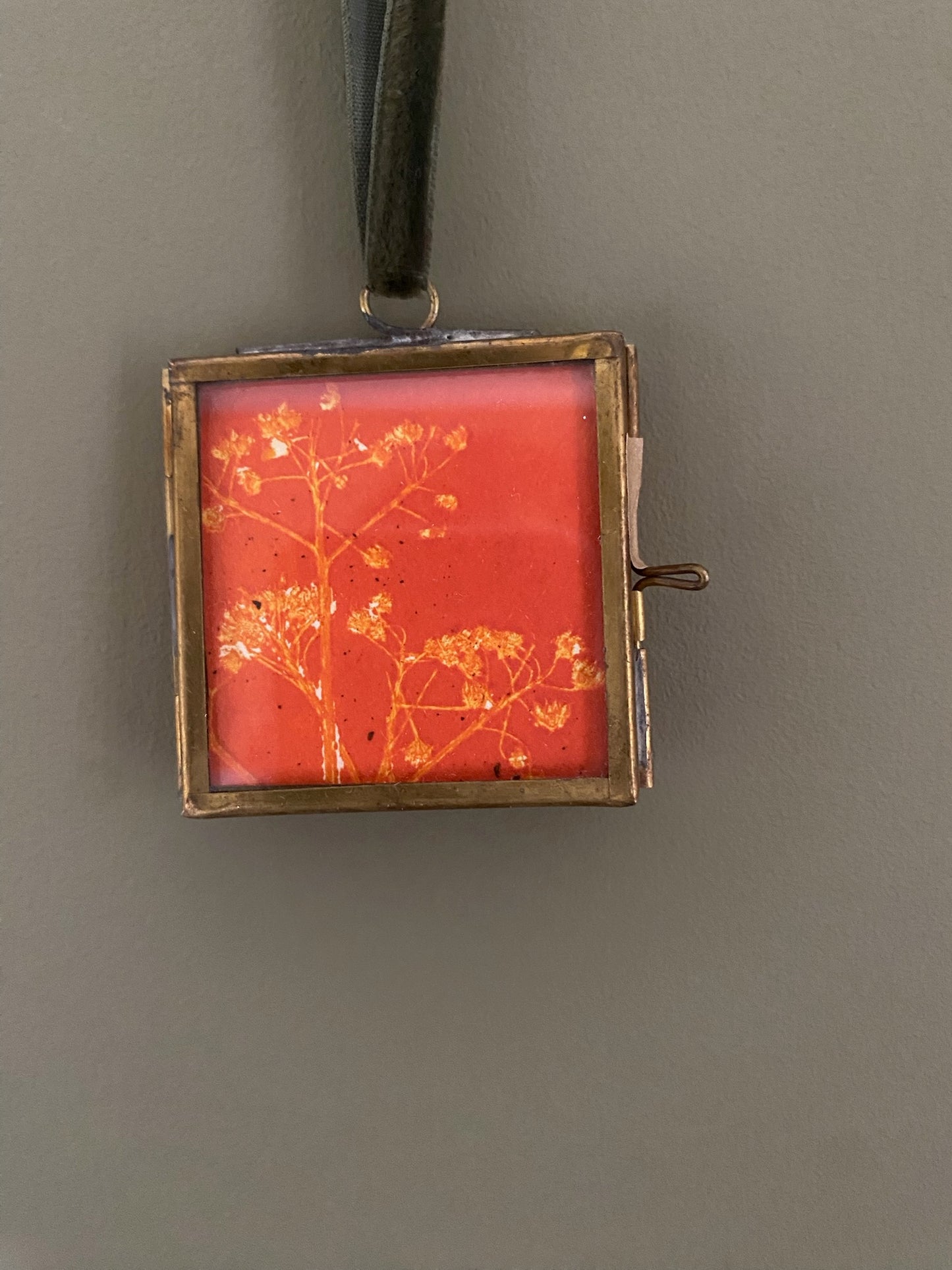 Diana Fitzpatrick - Mini Brass Framed Seed Prints