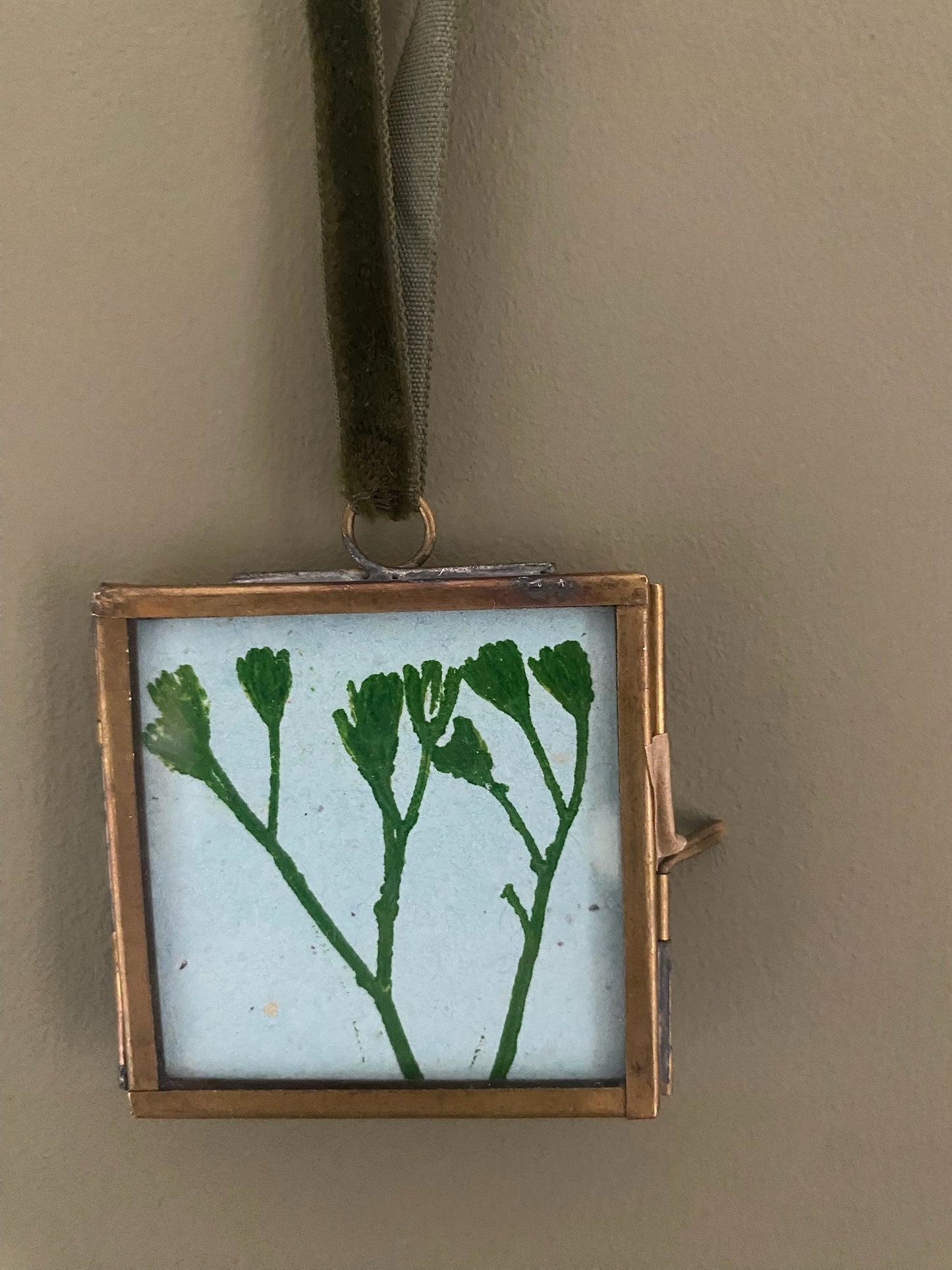 Diana Fitzpatrick - Mini Brass Framed Seed Prints