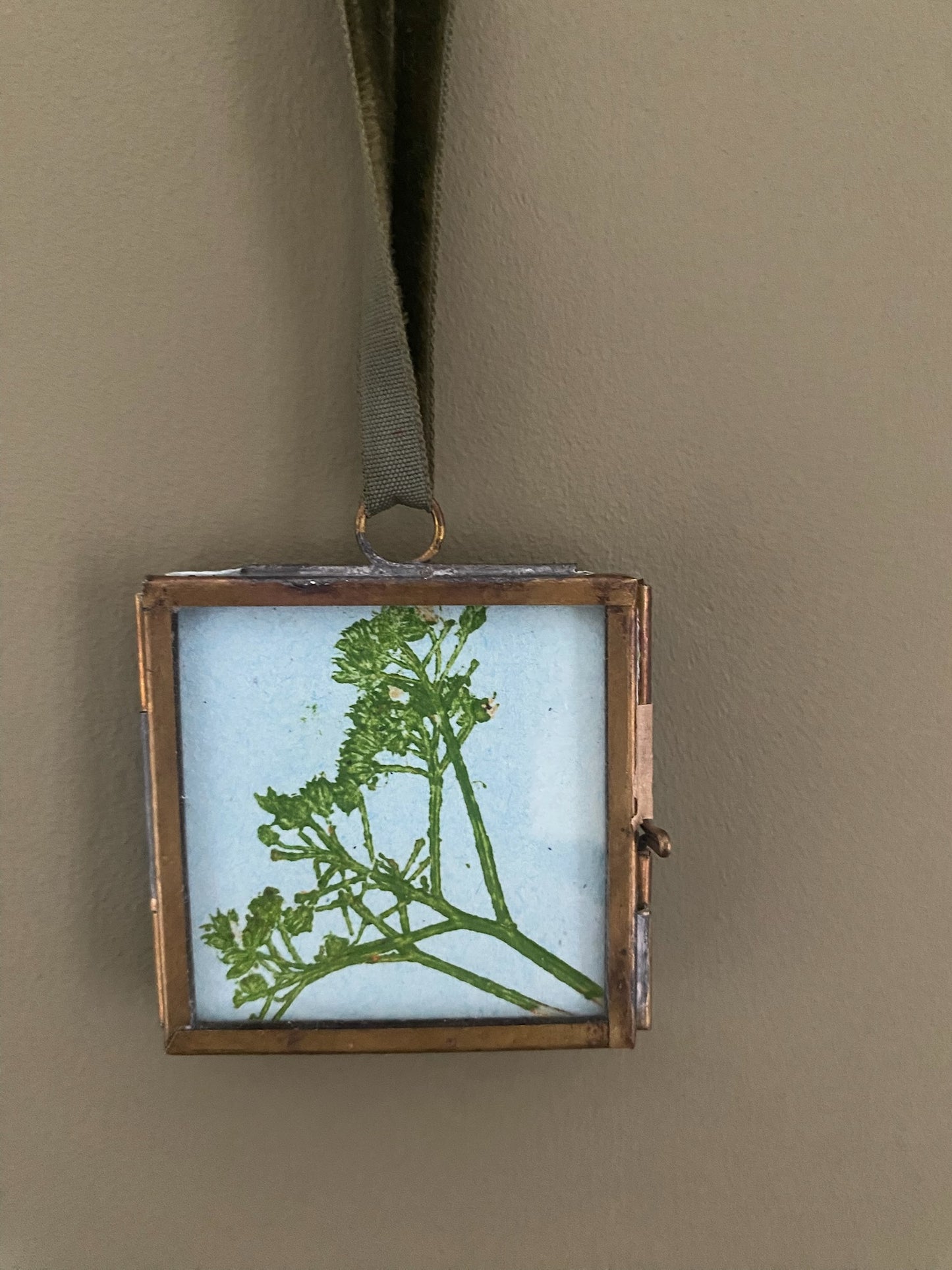 Diana Fitzpatrick - Mini Brass Framed Seed Prints