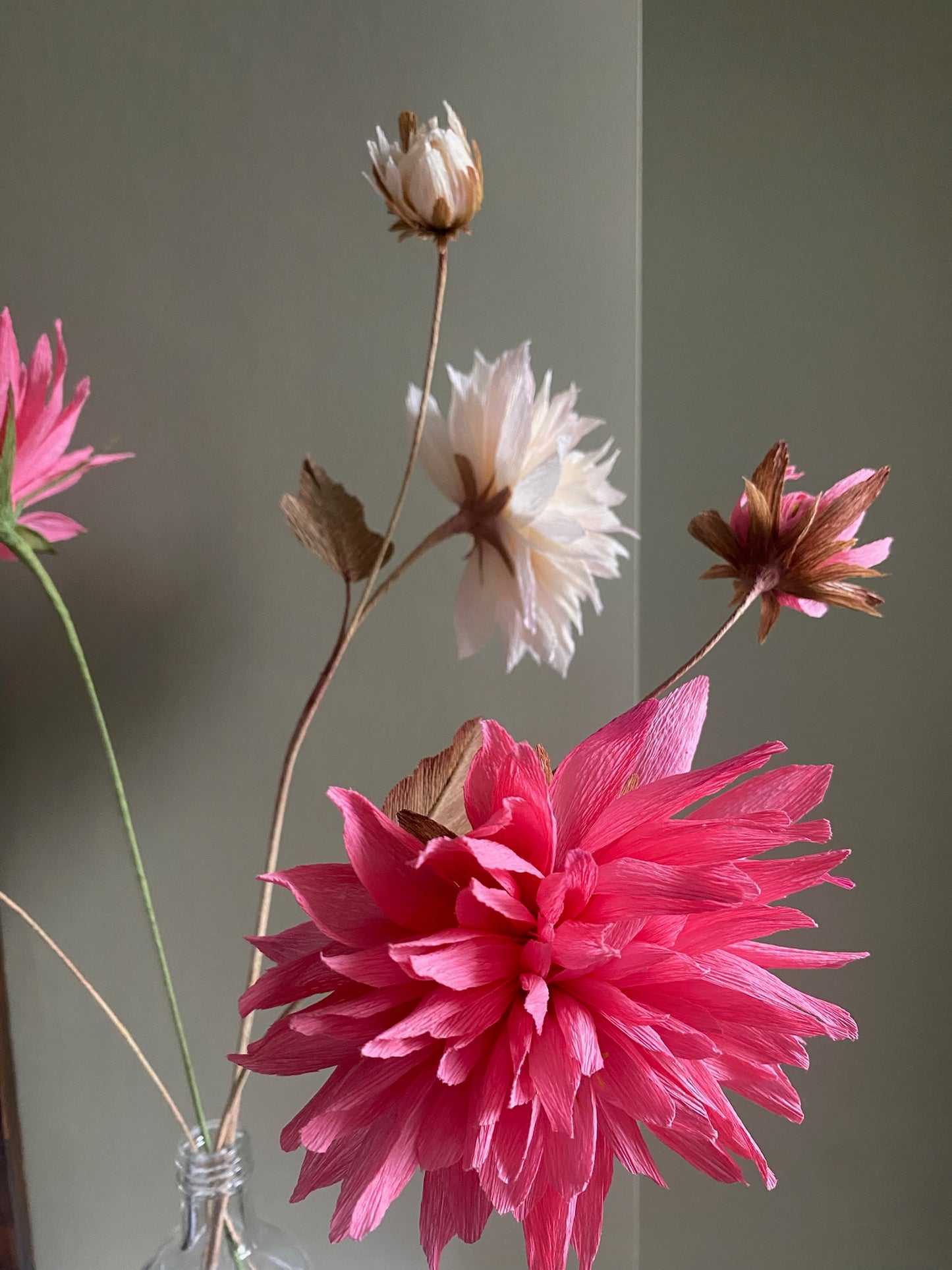 Folly & Bird - Dahlia, Paper