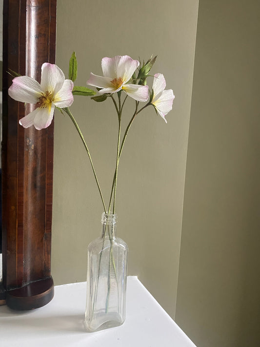 Folly & Bird - Wild rose, Paper