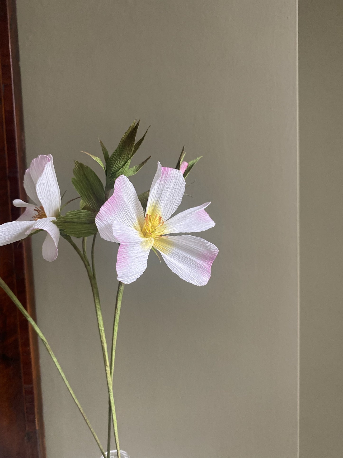 Folly & Bird - Wild rose, Paper