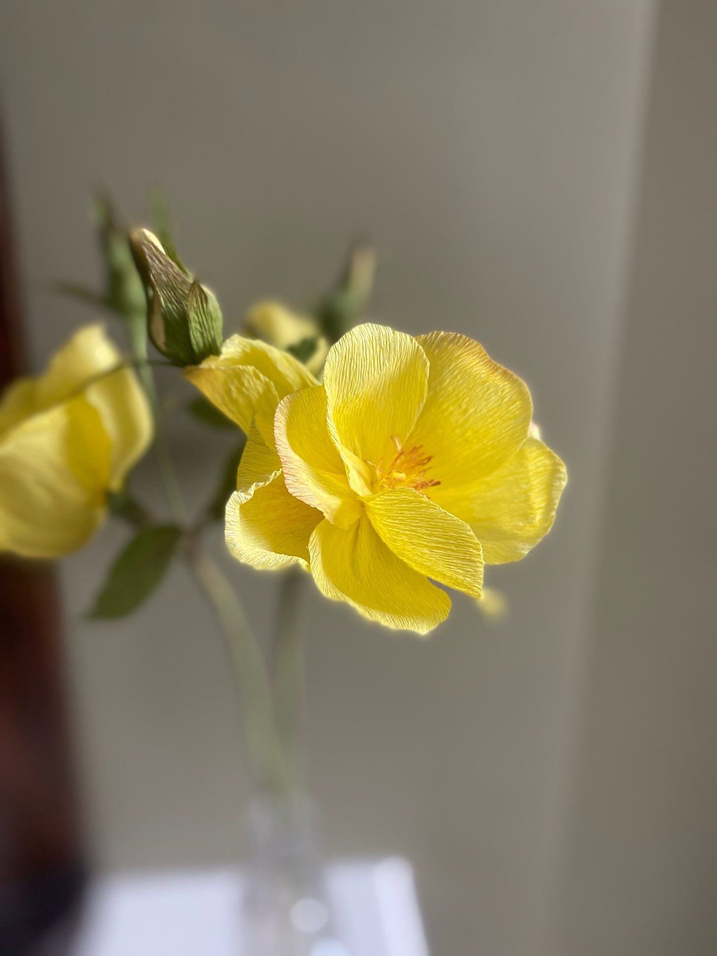 Folly & Bird - Wild rose, Paper