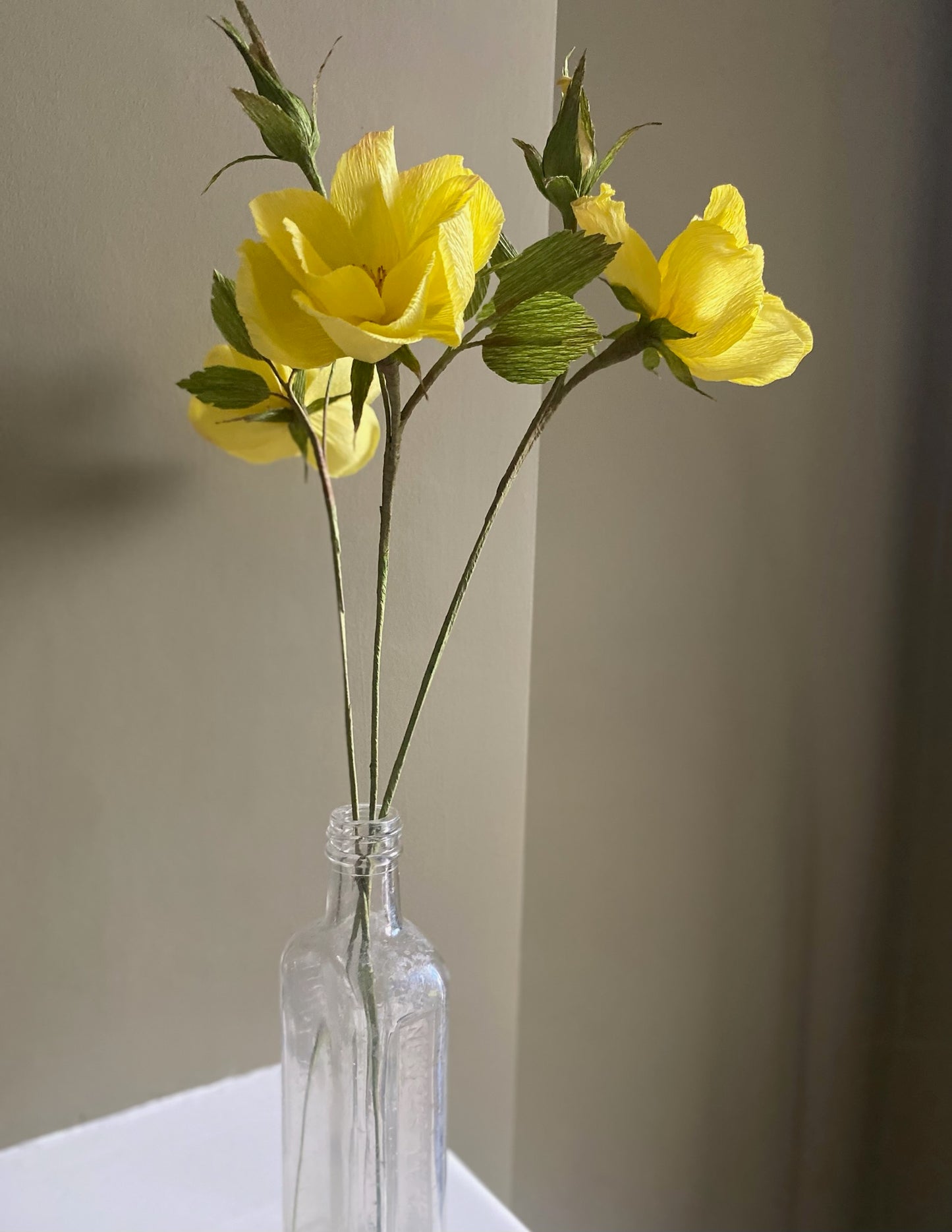 Folly & Bird - Wild rose, Paper