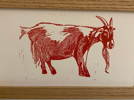 Wild North Linocut Print 'Bearded Goat'