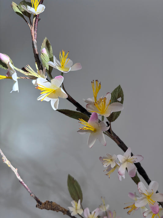 Folly & Bird - Apple Blossom, Paper & Wood