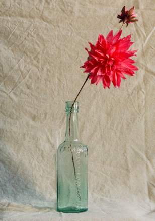 Paper Dahlia Workshop with Folly & Bird - November 16