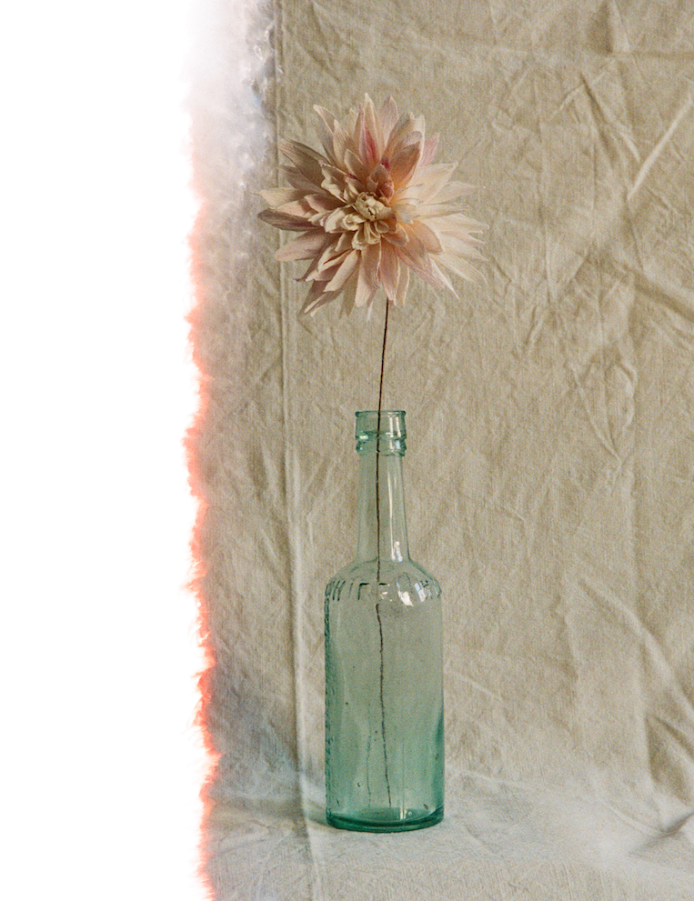 Paper Dahlia Workshop with Folly & Bird - November 16