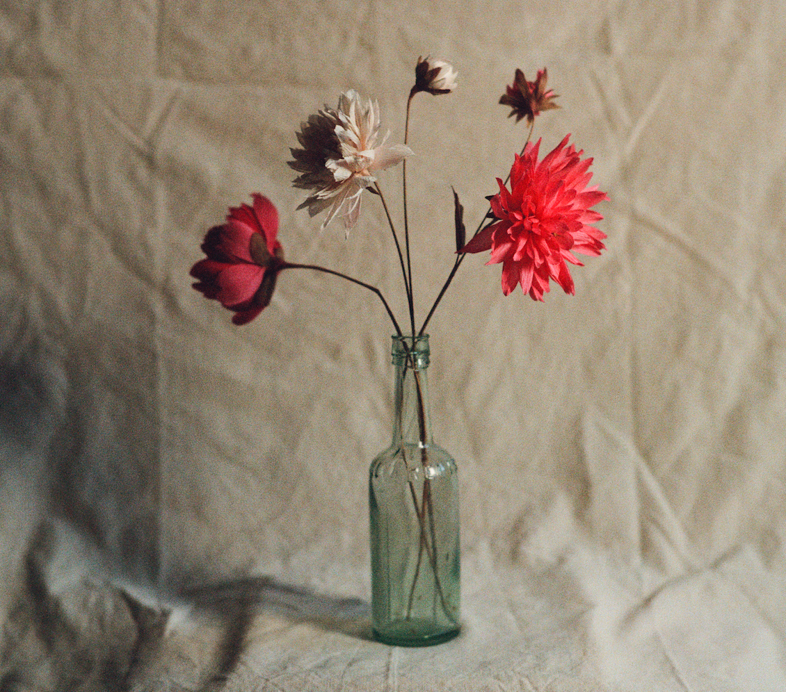 Paper Dahlia Workshop with Folly & Bird - November 16