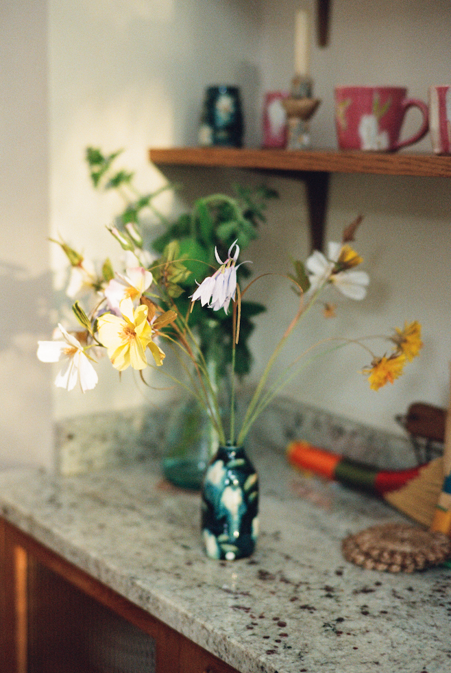 Folly & Bird - Wild rose, Paper