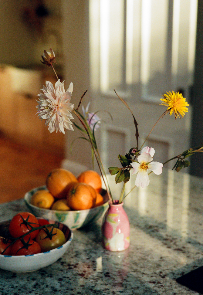 Folly & Bird - Dandelion, Paper