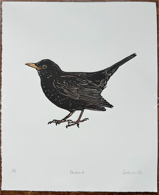 Sarah Cemmick - Original Lino Cut - Blackbird